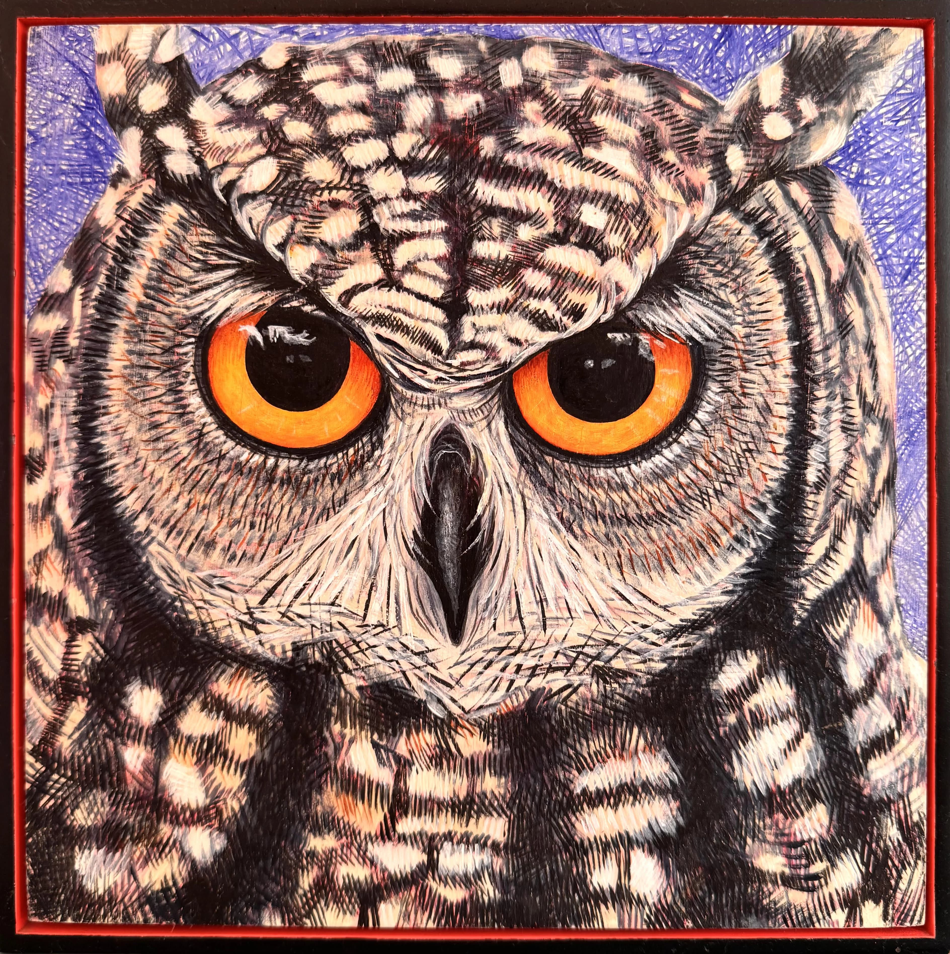 Jacks Owl